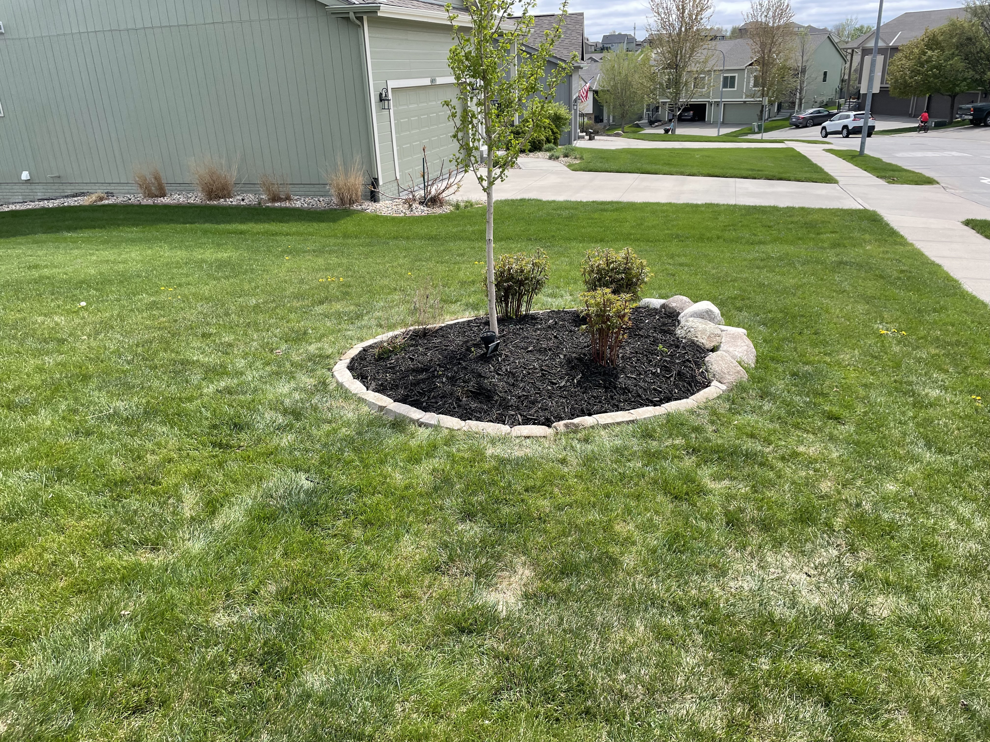 Land Management & Clearing